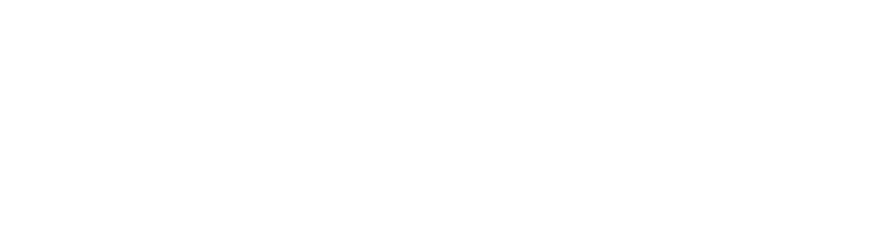 RAWdeoDRIVE Secondary Mark